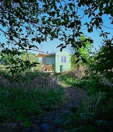 Bienenwagen Weitblick, Kamin, Sauna Ganzjaehrig Nutzbar * Dargun