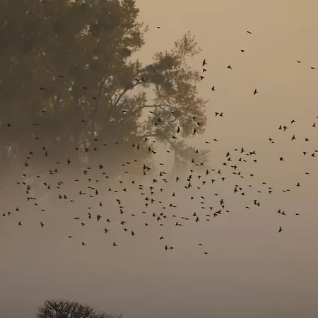 Bienenwagen Weitblick, Kamin, Sauna Ganzjaehrig Nutzbar *